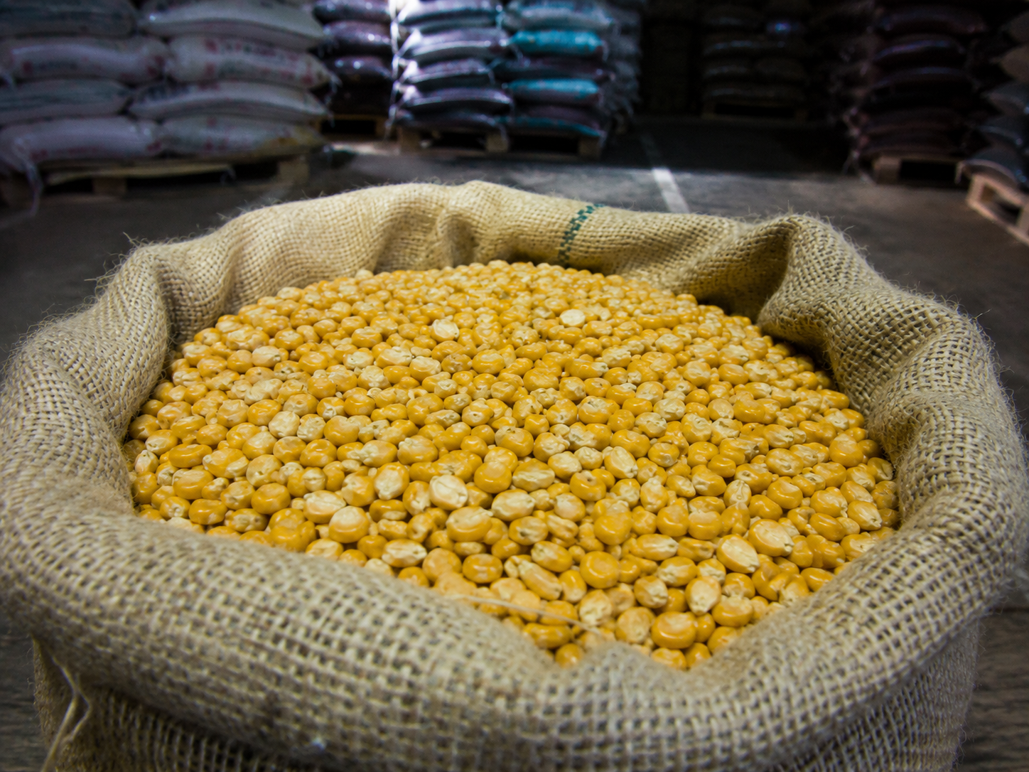 Corn